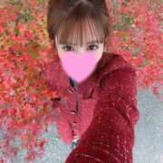 ヒメ日記 2025/11/13 15:16 投稿 ふたば 新感覚恋活ソープもしも彼女が○○だったら・・・福岡中州本店