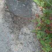 ヒメ日記 2026/01/03 18:22 投稿 ふたば 新感覚恋活ソープもしも彼女が○○だったら・・・福岡中州本店