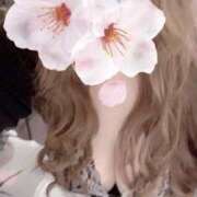 ヒメ日記 2025/02/27 19:31 投稿 碧【あおい】 丸妻 西船橋店