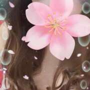 ヒメ日記 2025/06/22 12:55 投稿 碧【あおい】 丸妻 西船橋店