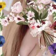 ヒメ日記 2025/12/05 19:02 投稿 碧【あおい】 丸妻 西船橋店