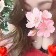 ヒメ日記 2026/02/21 19:16 投稿 碧【あおい】 丸妻 西船橋店