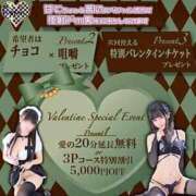 ヒメ日記 2024/02/12 15:30 投稿 アイノお嬢様 M&m Maidとm男の夢物語。