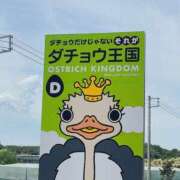 ヒメ日記 2026/06/01 13:37 投稿 さつき ラブハーレム(水戸)