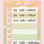 ヒメ日記 2026/03/06 20:06 投稿 さつき 変態なんでも鑑定団