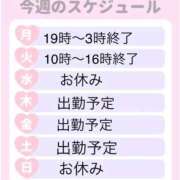 ヒメ日記 2026/03/16 19:16 投稿 さつき 変態なんでも鑑定団