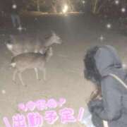 ヒメ日記 2025/02/03 12:54 投稿 リア ドMな奥さん 日本橋店