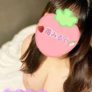 ヒメ日記 2024/12/28 09:59 投稿 苺 BBW（ビッグビューティフルウーマン）