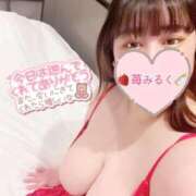 ヒメ日記 2025/10/07 04:58 投稿 苺 BBW（ビッグビューティフルウーマン）