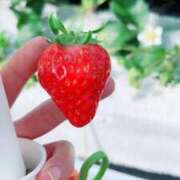 ヒメ日記 2026/01/07 07:52 投稿 かすみ   綺麗系スレンダー娘 よかろうもん下関本店