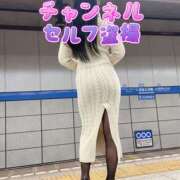 ヒメ日記 2025/02/05 23:39 投稿 福田かよこ Matriarch(マトリアルカ)