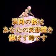 ヒメ日記 2025/02/12 15:39 投稿 福田かよこ Matriarch(マトリアルカ)