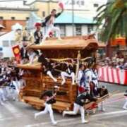 ヒメ日記 2025/05/02 13:50 投稿 福田かよこ Matriarch(マトリアルカ)