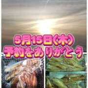 ヒメ日記 2025/05/13 10:43 投稿 福田かよこ Matriarch(マトリアルカ)