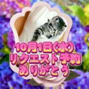 ヒメ日記 2025/09/29 14:08 投稿 福田かよこ Matriarch(マトリアルカ)