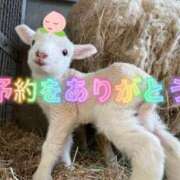 ヒメ日記 2025/09/30 12:29 投稿 福田かよこ Matriarch(マトリアルカ)