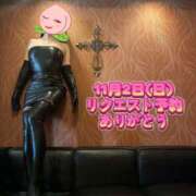 ヒメ日記 2025/10/11 09:57 投稿 福田かよこ Matriarch(マトリアルカ)