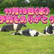 ヒメ日記 2025/11/16 12:41 投稿 福田かよこ Matriarch(マトリアルカ)