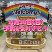 ヒメ日記 2025/11/26 16:48 投稿 福田かよこ Matriarch(マトリアルカ)