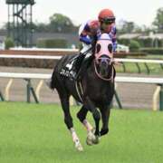 ヒメ日記 2025/12/16 15:55 投稿 福田かよこ Matriarch(マトリアルカ)