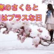 ヒメ日記 2025/02/08 11:23 投稿 よしこ 神戸人妻援護会