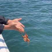 ヒメ日記 2025/05/15 09:41 投稿 よしこ 神戸人妻援護会