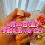 ヒメ日記 2025/06/23 15:34 投稿 よしこ 神戸人妻援護会