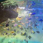 ヒメ日記 2025/11/05 09:59 投稿 よしこ 神戸人妻援護会