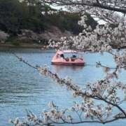 ヒメ日記 2026/04/05 11:00 投稿 よしこ 神戸人妻援護会