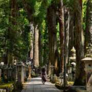 ヒメ日記 2026/07/30 18:49 投稿 よしこ 神戸人妻援護会