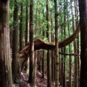 ヒメ日記 2026/08/11 10:41 投稿 よしこ 神戸人妻援護会