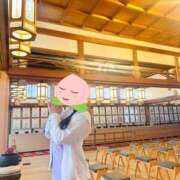 ヒメ日記 2026/10/05 16:33 投稿 よしこ 神戸人妻援護会