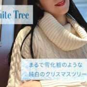 ヒメ日記 2024/12/14 12:58 投稿 よしこ 大阪人妻援護会