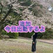 ヒメ日記 2025/04/14 10:41 投稿 よしこ 大阪人妻援護会