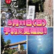 ヒメ日記 2025/05/10 11:54 投稿 よしこ 大阪人妻援護会