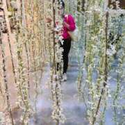 ヒメ日記 2025/10/07 23:58 投稿 よしこ 大阪人妻援護会