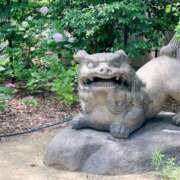 ヒメ日記 2026/02/15 02:06 投稿 よしこ 大阪人妻援護会