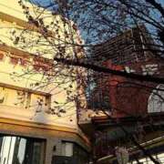 ヒメ日記 2026/03/17 14:03 投稿 よしこ 大阪人妻援護会