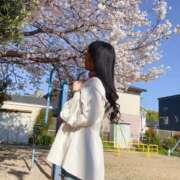 ヒメ日記 2026/04/12 15:39 投稿 よしこ 大阪人妻援護会