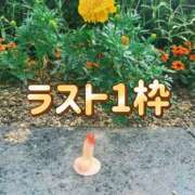 ヒメ日記 2026/10/14 17:05 投稿 よしこ 大阪人妻援護会
