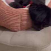 ヒメ日記 2024/12/11 20:18 投稿 るい ぽちゃかわ専門店　ぽちゃぽちゃイケてる