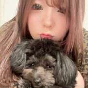 ヒメ日記 2024/12/23 19:30 投稿 るい ぽちゃかわ専門店　ぽちゃぽちゃイケてる