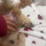 ヒメ日記 2025/01/14 08:19 投稿 るい ぽちゃかわ専門店　ぽちゃぽちゃイケてる