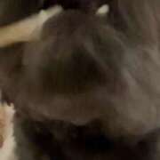 ヒメ日記 2025/01/28 12:06 投稿 るい ぽちゃかわ専門店　ぽちゃぽちゃイケてる