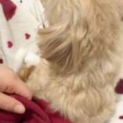 ヒメ日記 2025/02/05 15:06 投稿 るい ぽちゃかわ専門店　ぽちゃぽちゃイケてる