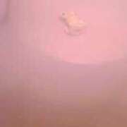 ヒメ日記 2025/02/09 12:23 投稿 るい ぽちゃかわ専門店　ぽちゃぽちゃイケてる