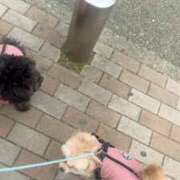 ヒメ日記 2025/02/18 14:03 投稿 るい ぽちゃかわ専門店　ぽちゃぽちゃイケてる