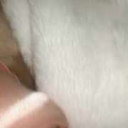 ヒメ日記 2025/02/19 20:43 投稿 るい ぽちゃかわ専門店　ぽちゃぽちゃイケてる