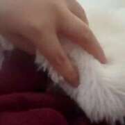 ヒメ日記 2025/02/25 10:43 投稿 るい ぽちゃかわ専門店　ぽちゃぽちゃイケてる