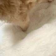 ヒメ日記 2025/02/27 23:43 投稿 るい ぽちゃかわ専門店　ぽちゃぽちゃイケてる